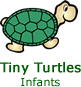 tiny turtles